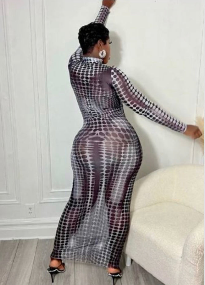 Sheer Mesh Dress