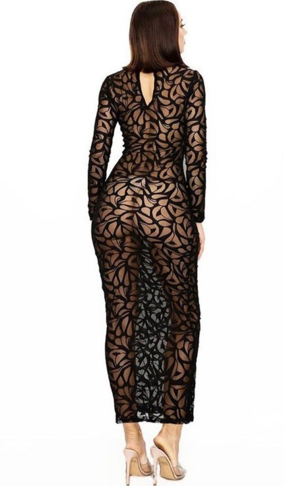 Mesh Lace Pattern Dress
