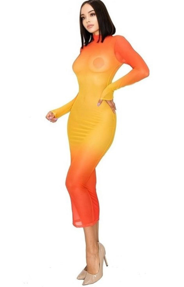 Gradient Mesh Maxi Dress