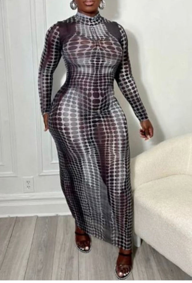 Sheer Mesh Dress